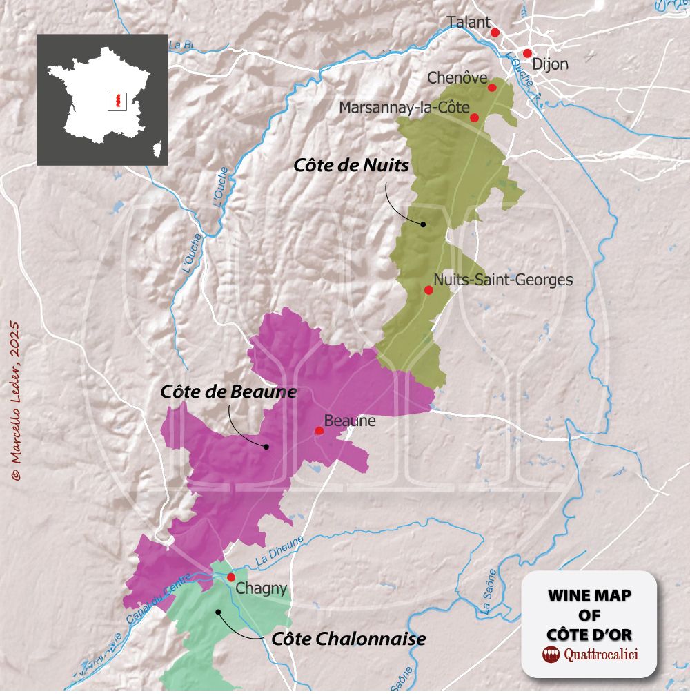 La Cote d'Or e i suoi vini