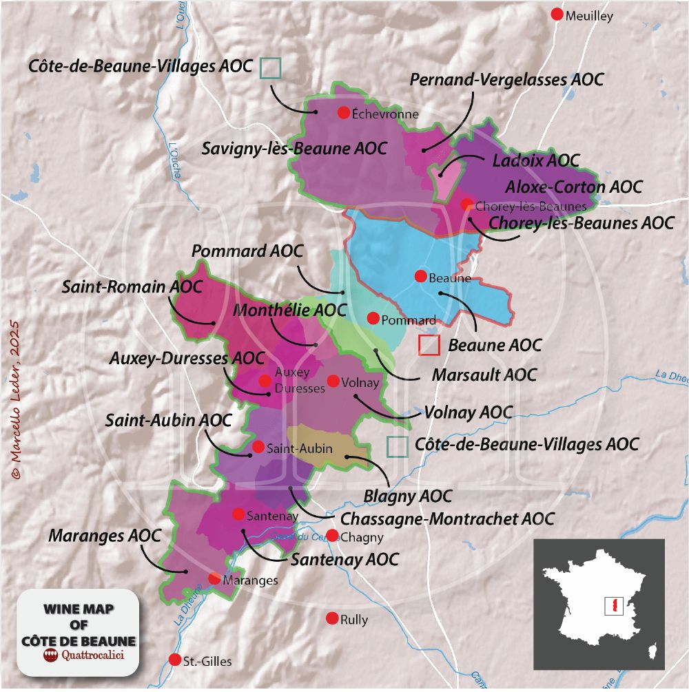 borgogna cartida della cote de beaune