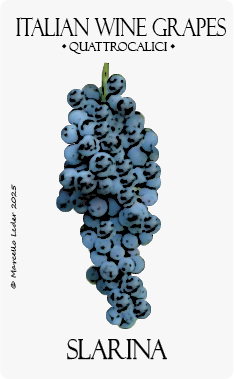 slarina vitigno