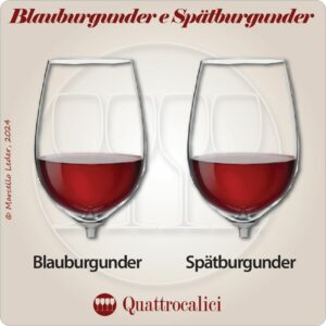 Differenze tra Blauburgunder e Spatburgunder