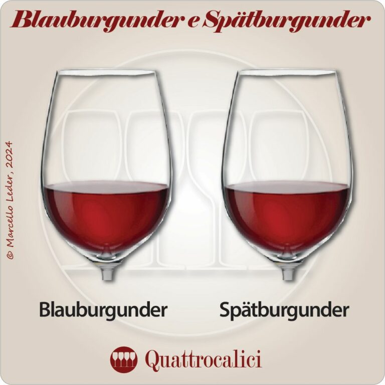 Differenze tra Blauburgunder e Spatburgunder