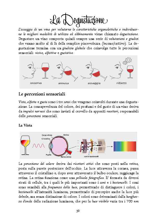 conoscere-il-vino-presentazione_Page_06