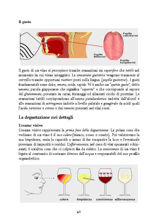 conoscere-il-vino-presentazione_Page_08