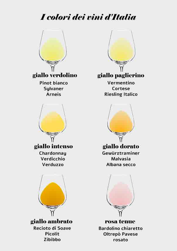 conoscere-il-vino-presentazione_Page_09