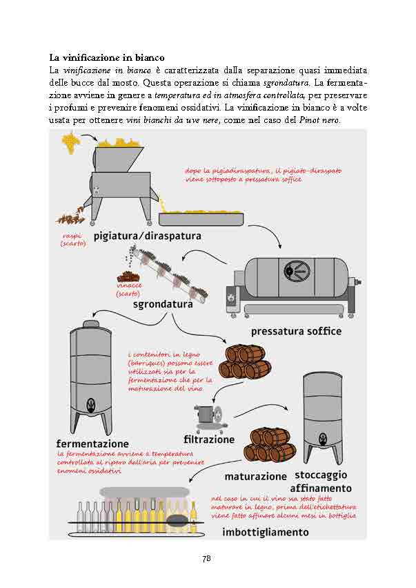 conoscere-il-vino-presentazione_Page_17