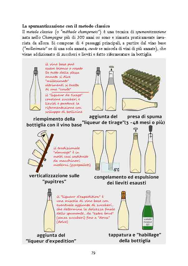 conoscere-il-vino-presentazione_Page_18