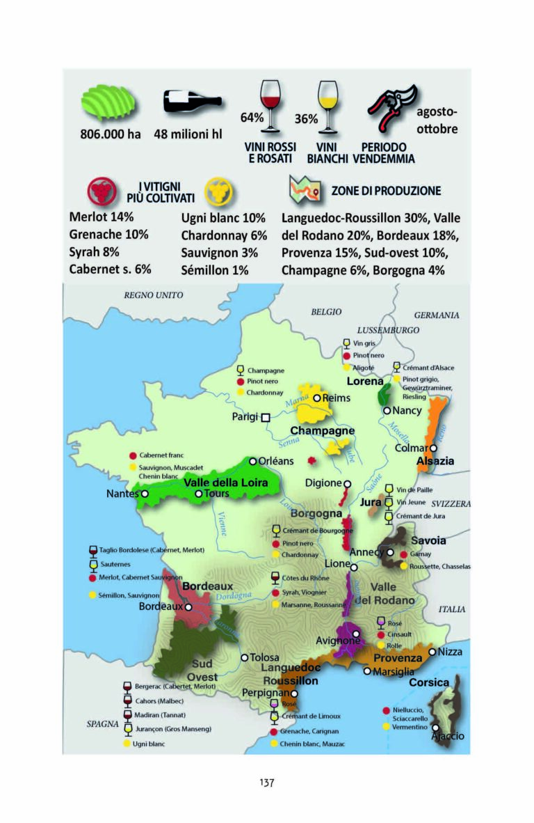 conoscere-il-vino-presentazione_Page_26-scaled
