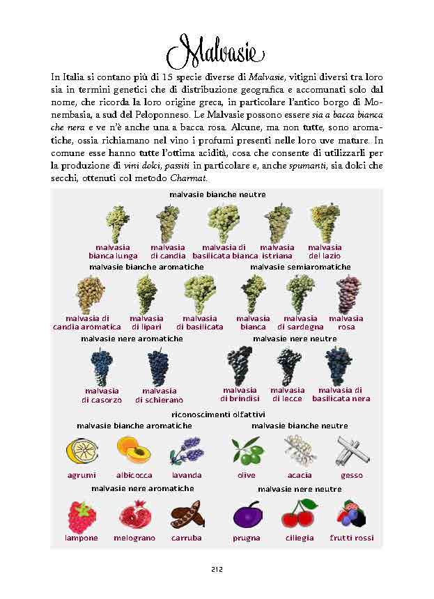 conoscere-il-vino-presentazione_Page_31