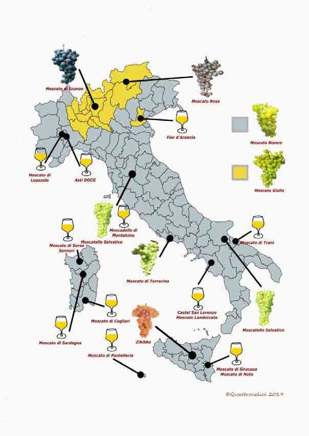 conoscere-il-vino-presentazione_Page_34