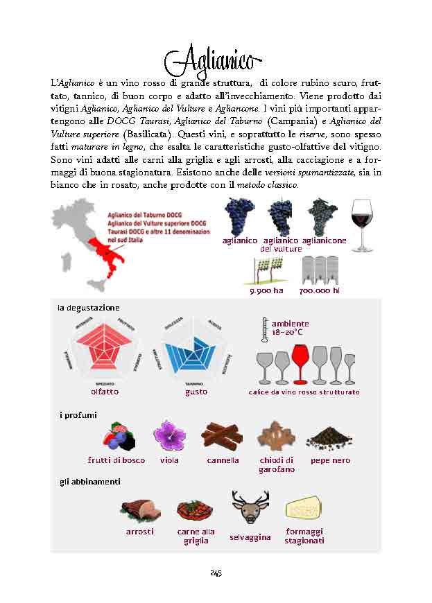 conoscere-il-vino-presentazione_Page_38