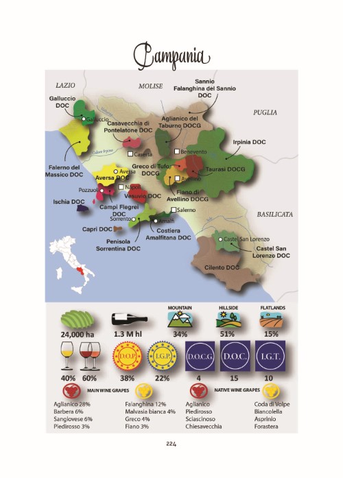 italy-of-wines-presentazione-full_Page_24