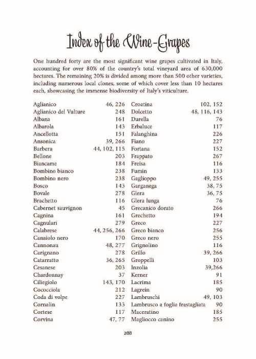 italy-of-wines-presentazione-full_Page_25