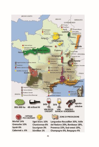 mondo-del-vino-presentazione_Page_03