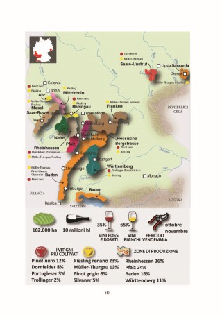 mondo-del-vino-presentazione_Page_26
