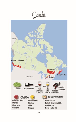 mondo-del-vino-presentazione_Page_49