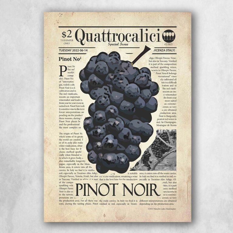 I poster sui vitigni di Quattrocalici: Pinot noir