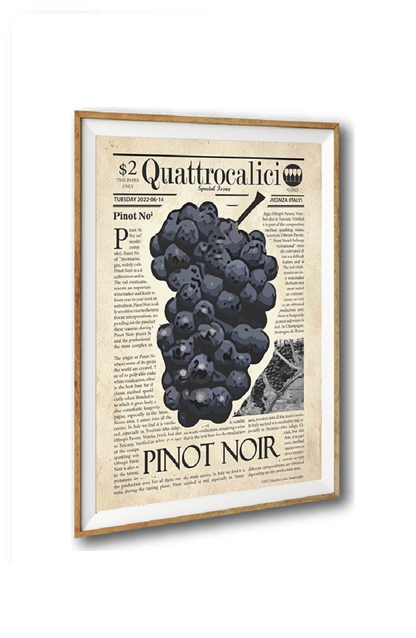 I poster sui vitigni di Quattrocalici: Pinot noir