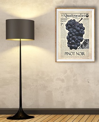 I poster sui vitigni di Quattrocalici: Pinot noir