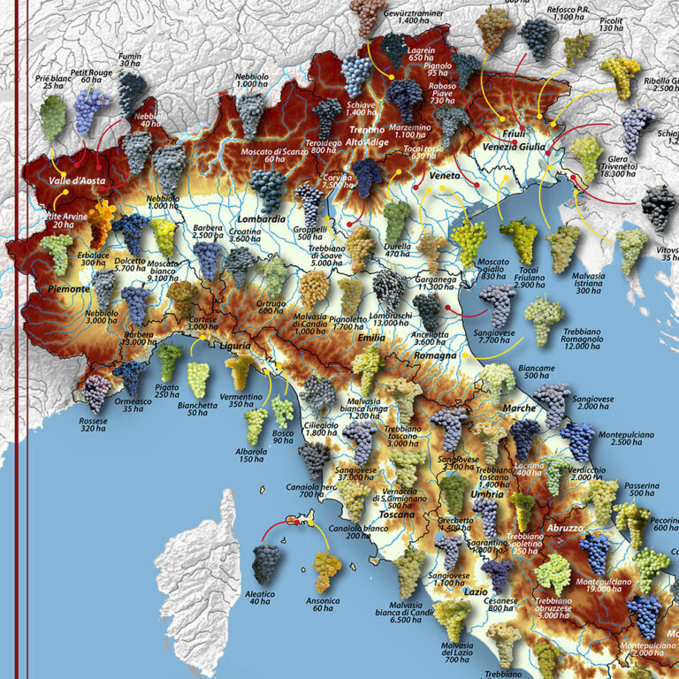 Il Poster Quattrocalici con la cartina dei Vitigni Autoctoni d'Italia