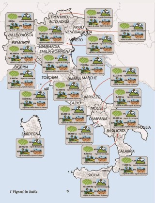 vini-d-italia-presentazione_Page_11