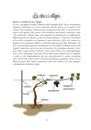 vitigni-presentazione_Page_02