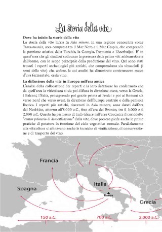 vitigni-presentazione_Page_04