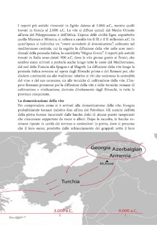 vitigni-presentazione_Page_05