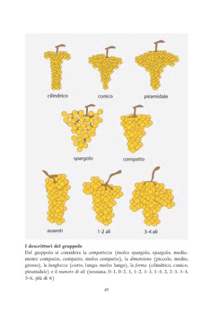 vitigni-presentazione_Page_06