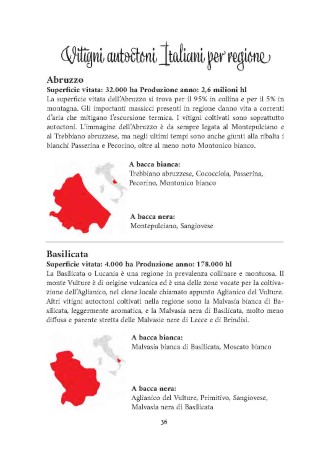 vitigni-presentazione_Page_08