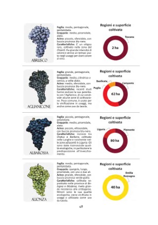 vitigni-presentazione_Page_09