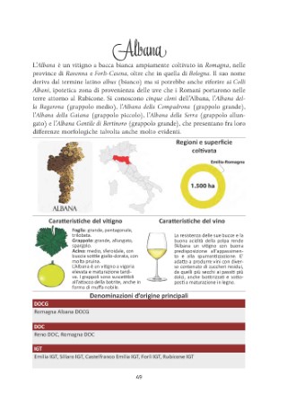 vitigni-presentazione_Page_10