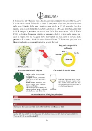vitigni-presentazione_Page_11