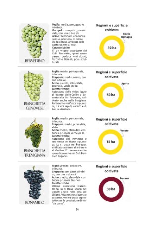 vitigni-presentazione_Page_12