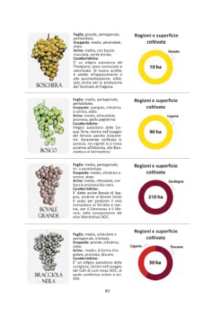 vitigni-presentazione_Page_13