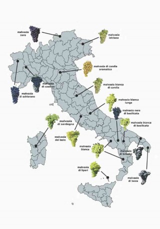 vitigni-presentazione_Page_14