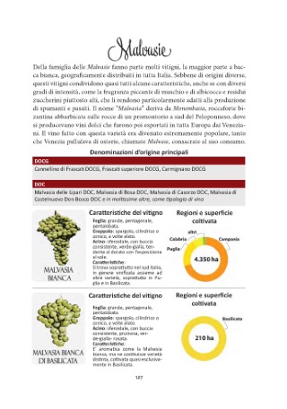 vitigni-presentazione_Page_15