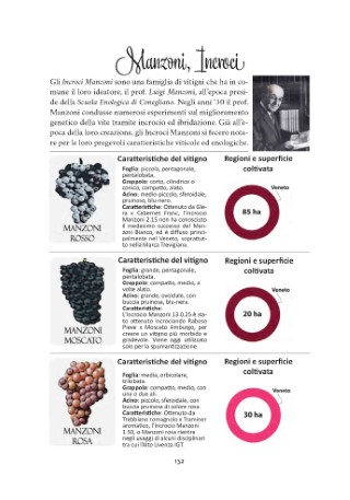 vitigni-presentazione_Page_16