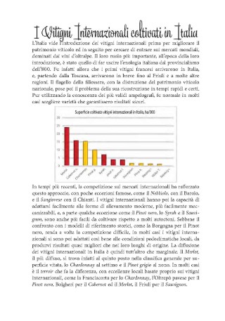 vitigni-presentazione_Page_17