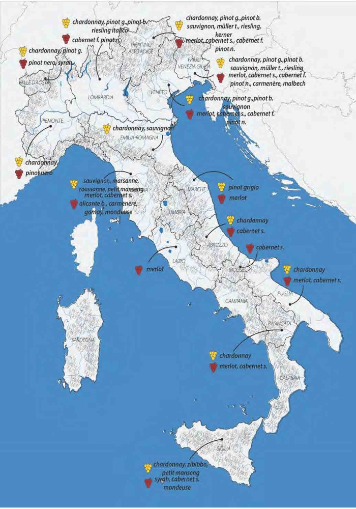 vitigni-presentazione_Page_18