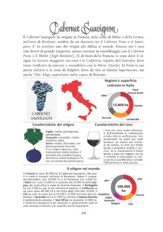 vitigni-presentazione_Page_19