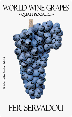 fer servadou vitigno