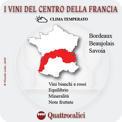 i vini del centro della francia