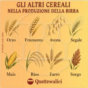 I cereali nella produzione della birra