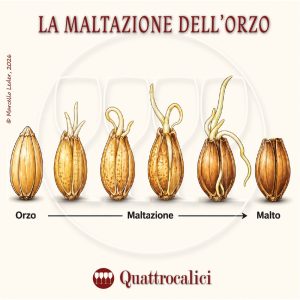 La Maltazione