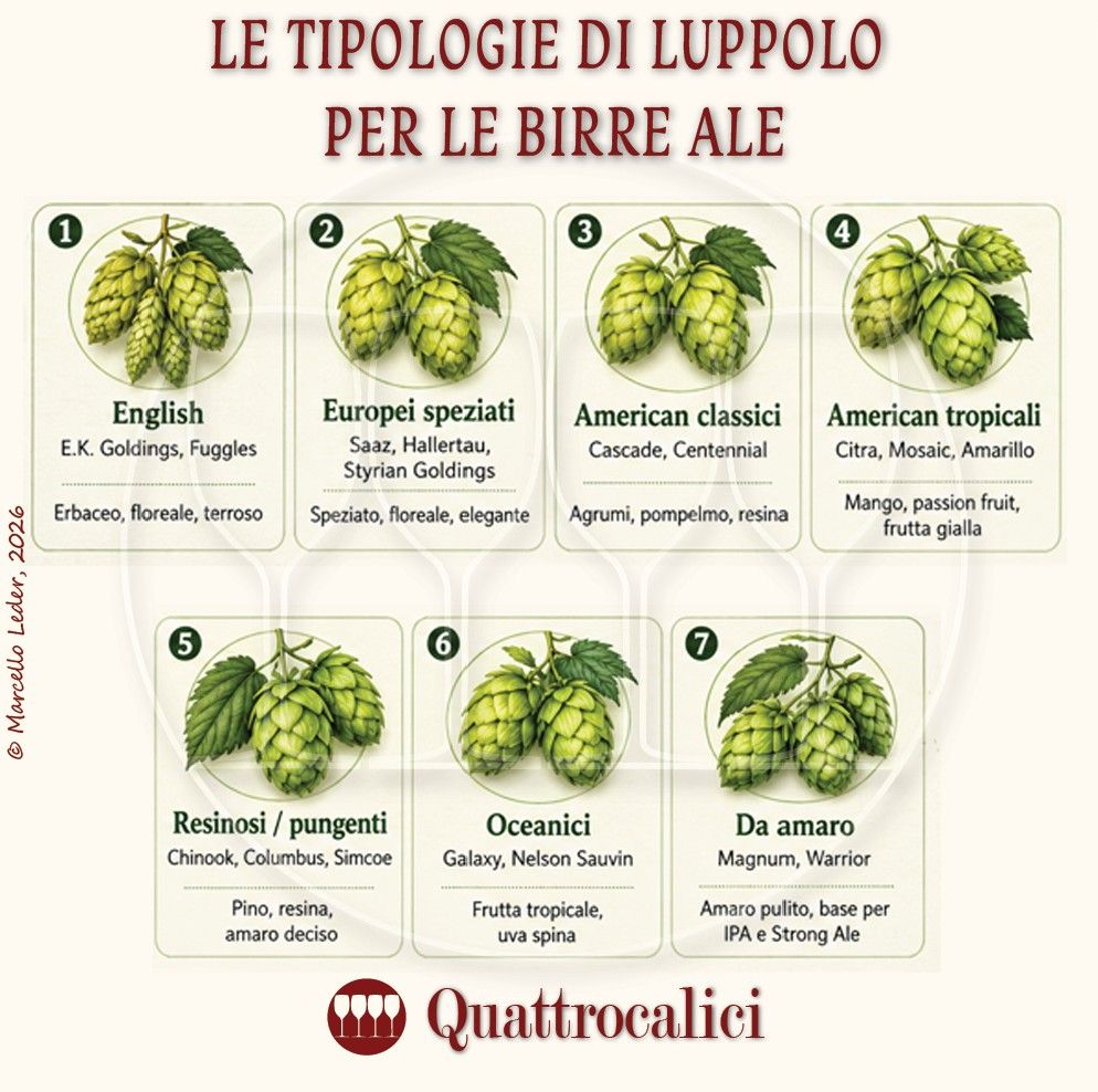 I Luppoli nelle Birre Ale