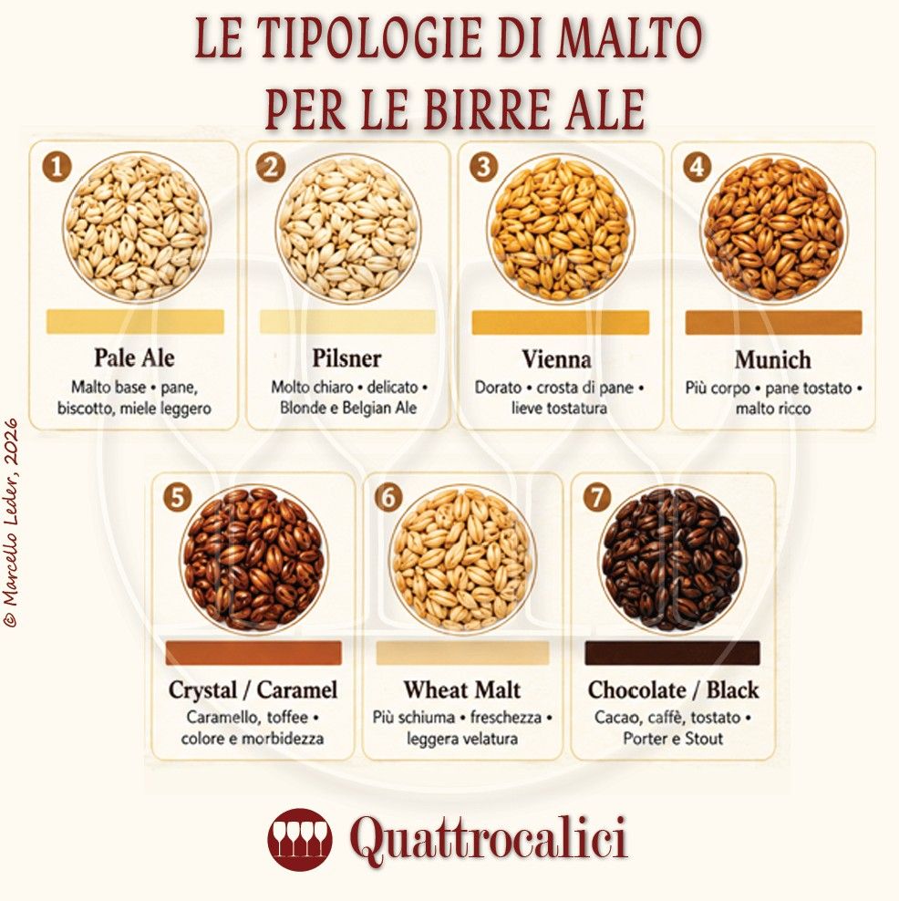 I Malti impiegati per le birre Ale