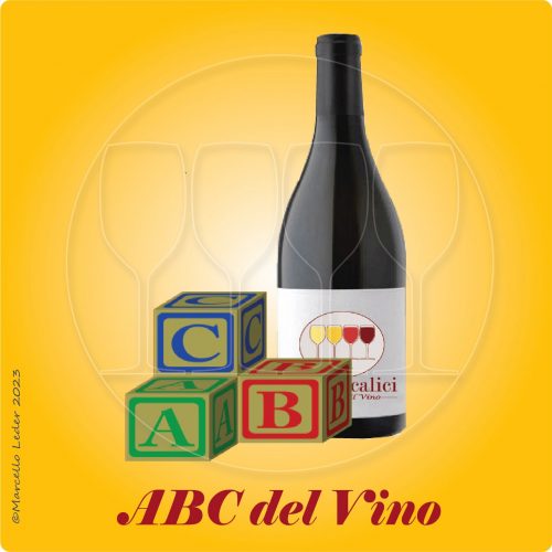 L'ABC del Vino - Il Corso Online del VIno di Quattrocalici