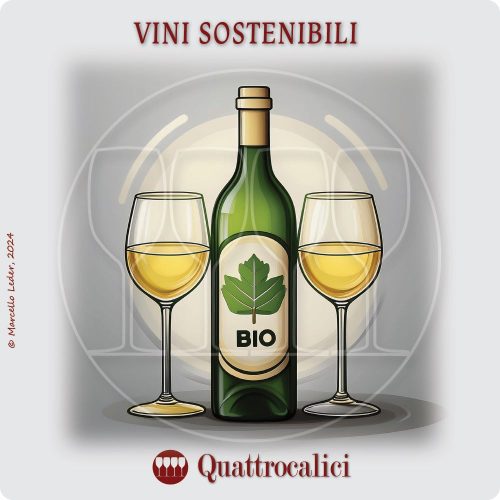 Vini sostenibili e stili di vita del consumatore