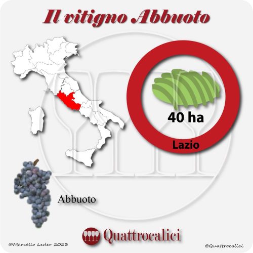Il Vitigno Abbuoto e la sua coltivazione in Italia