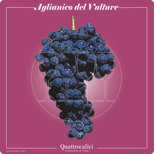 Vitigno  Aglianico del Vulture